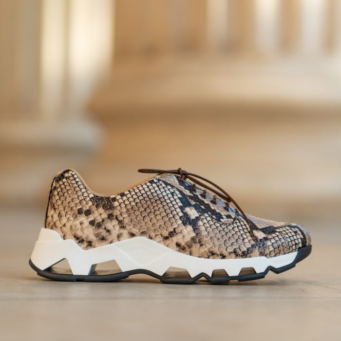 Pantofi-smart-casual-jungle-2-1.jpg