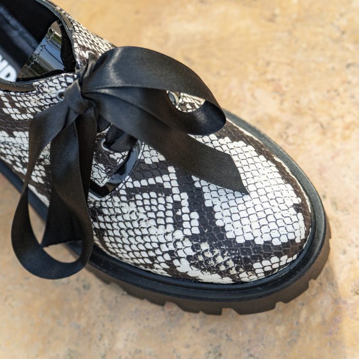 Pantofi Dama cu Siret Renate Dream